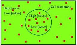 NCERT Solutions for Class 9th Science Chapter 5 The Fundamental Unit of Life