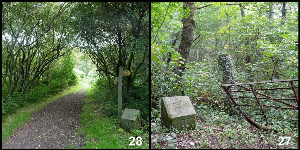 Walking the Gower Way 5