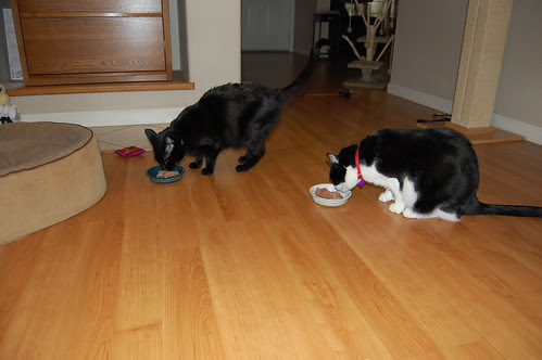 First, a sniff test