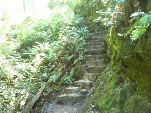 Steep Ravine