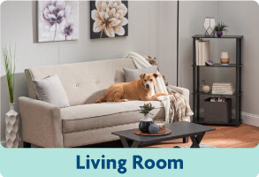 Living Room ideas