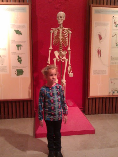 Stella en de skelet-imitatie
