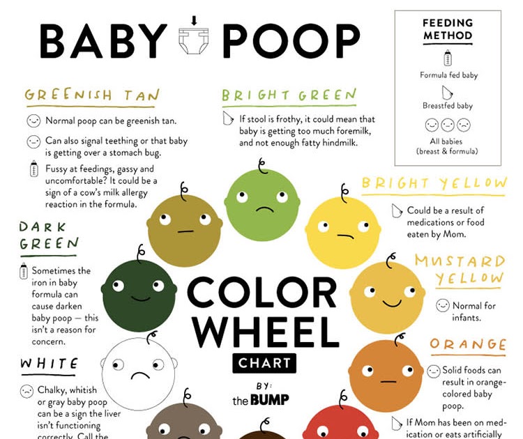 Baby Stool Color Chart - Stools Item