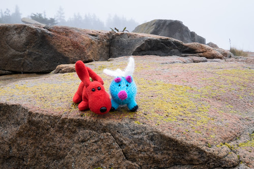 Rover and Blue, on a foggy day at the Schoodic Peninsula