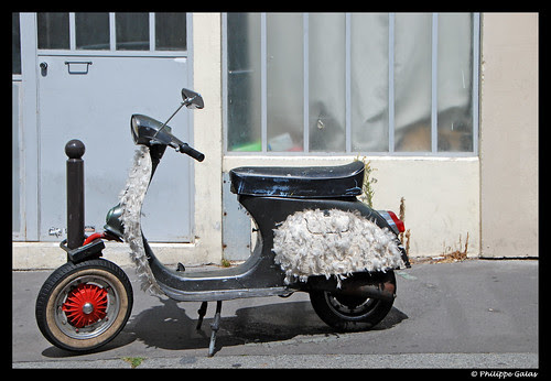 Le scooter à plumes