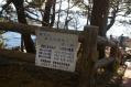 20130320 (4)