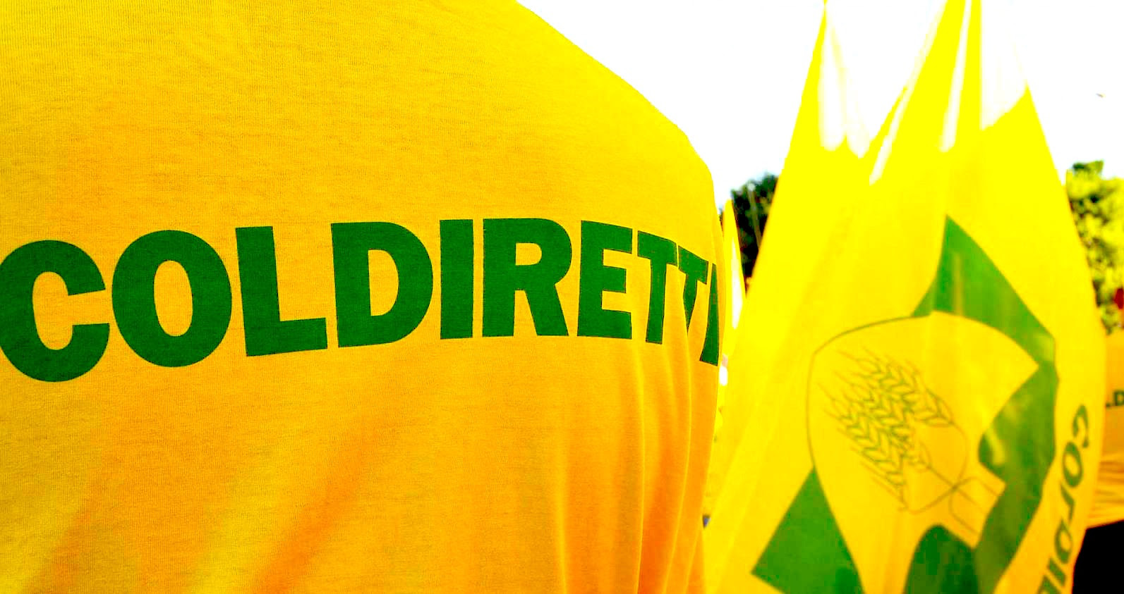 Coldiretti