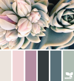 schemes dulux pallette billige wohnkultur paleta modernos paletas soees