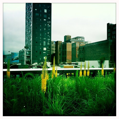 Scene from The High Line
