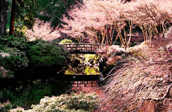 perierga.gr - Ο "ιαπωνικός κήπος" του Πόρτλαντ