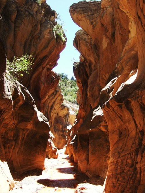 Slot canyons of utah