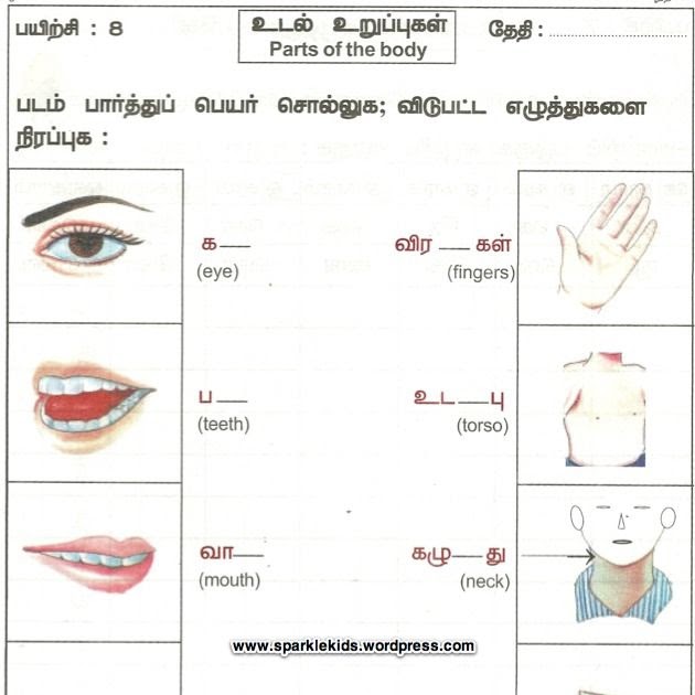 Tamil Words For Body Parts - Body Language Techniques in tamil | self