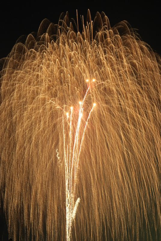 すべての花の画像 最新柳 花火