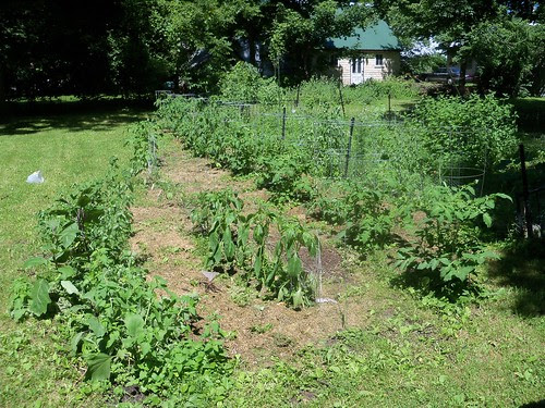 north garden