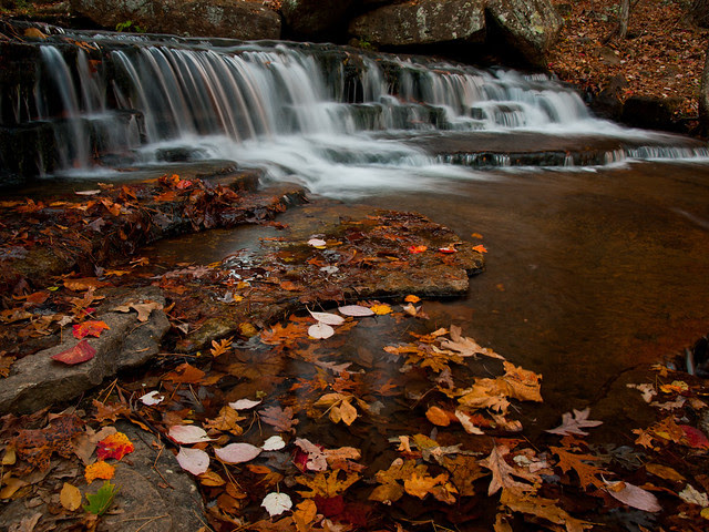 Collins Creek