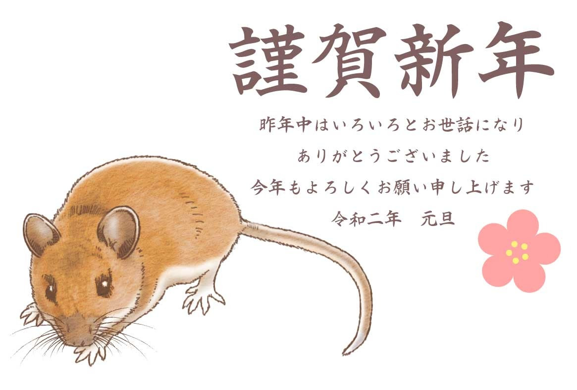 100 Epic Bestねずみ イラスト リアル 動物ゾーン
