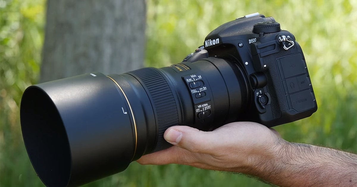 fujifilm camera for wildlife photography