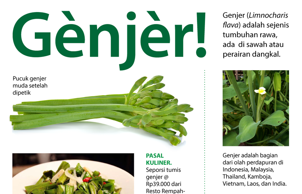 Bahasa Inggris Sayur Sayuran Wulan Tugas
