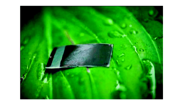 Mark's Personal Bioinspiration Archive: Learning from Photosynthesis