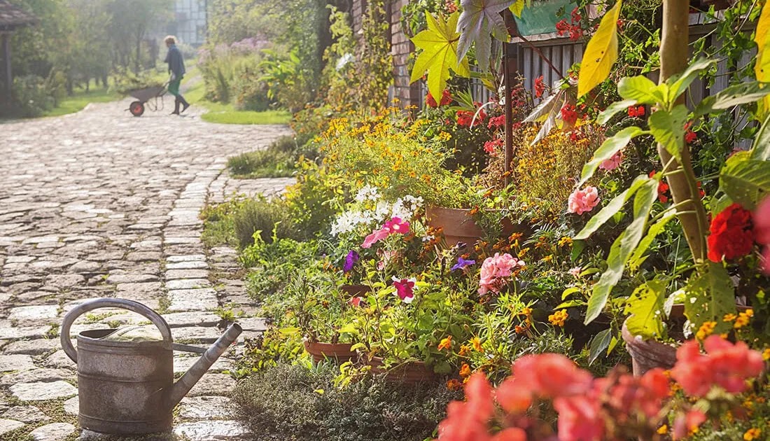Die Schönsten Blumen Für Den Garten Rafinovier