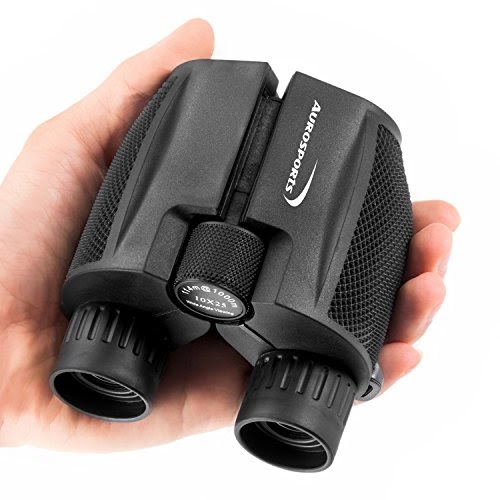 Best Binoculars For Whale Watching Buying Guide