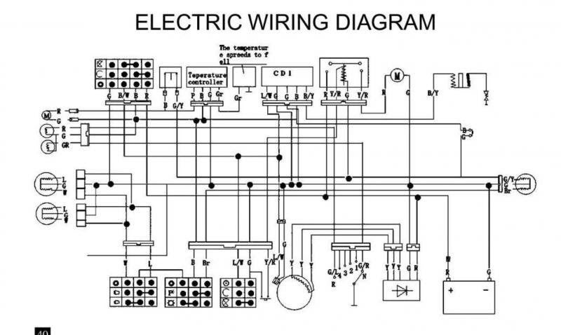 Chinese Quad Electrical Diagram : Wiring Diagrams Instruction Tdrmoto