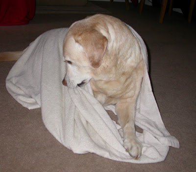 towel games