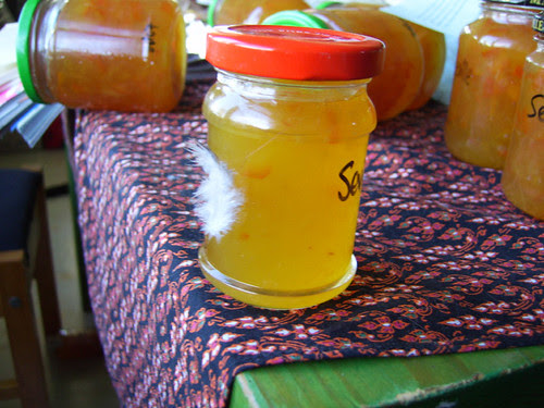 jam fevver