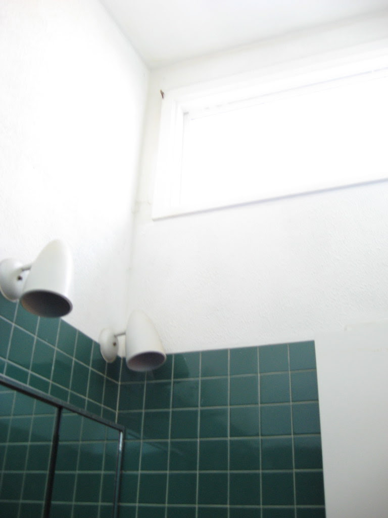 Hall Bathroom - BEFORE - January 2010