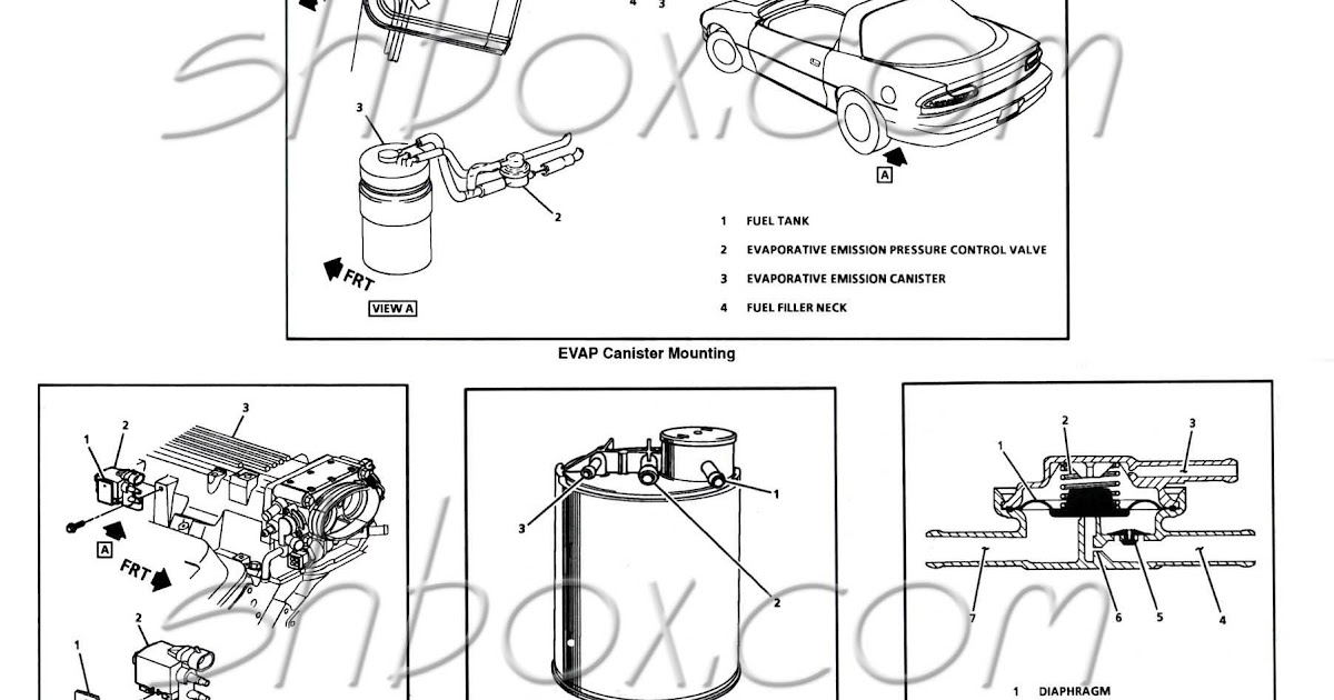 2000 Chevy S10 Fuel Line Diagram - Hanenhuusholli