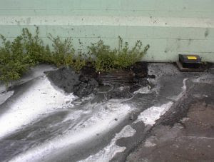 Industrial Waste Discharge To Storm Sewer Identified During SWPPP inspection