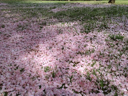 20120415094321