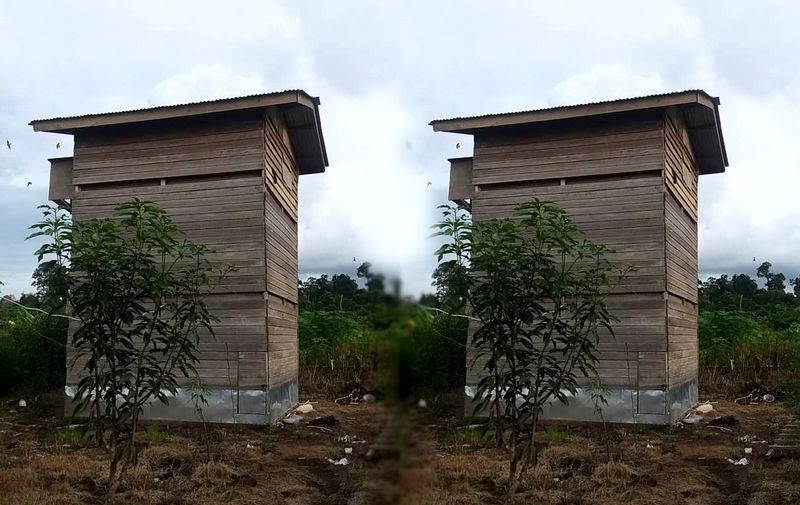 Biaya Pembuatan Sarang Walet Dari Kayu Soal Tematik