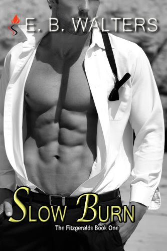 Slow Burn (Contemporary, Romantic suspense, Sensual) (The Fitzgerald Family series) by E.B. Walters Slow Burn (Contemporary, Romantic suspense, Sensual) (The Fitzgerald Family series) by E.B. Walters