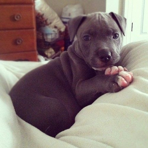 Cute!
