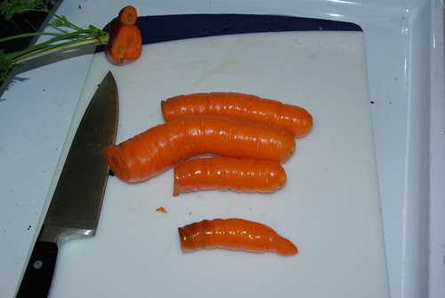 2010-11-16 Fresh carrott from garden