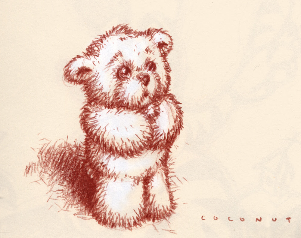 Teddy Bear Drawing Realistic - bmp-ever