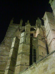 Night cathedral