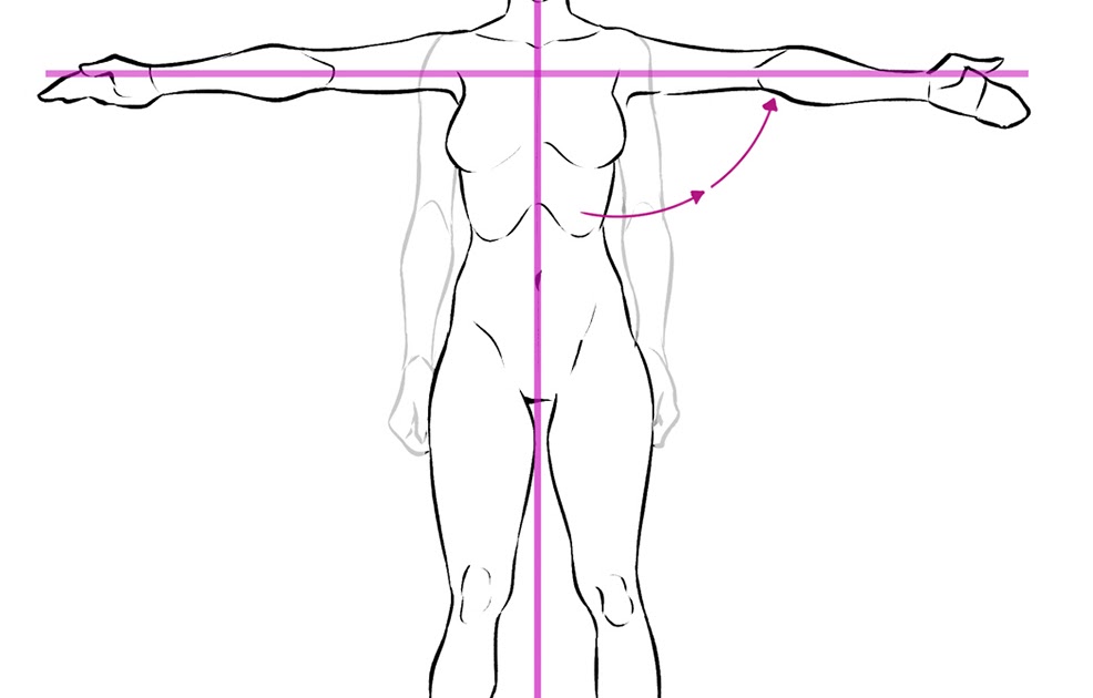 Male Anatomy Diagram Art : Anatomytools - Nonnie asked for a tutorial
