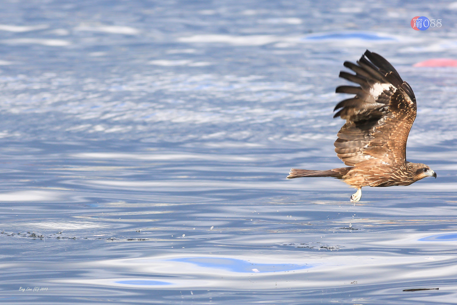 WATER_BING6859_LR