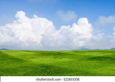 cartoon on net: Cartoon Grass Field Background