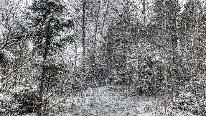После снегопада/3673959_2 (700x393, 166Kb)