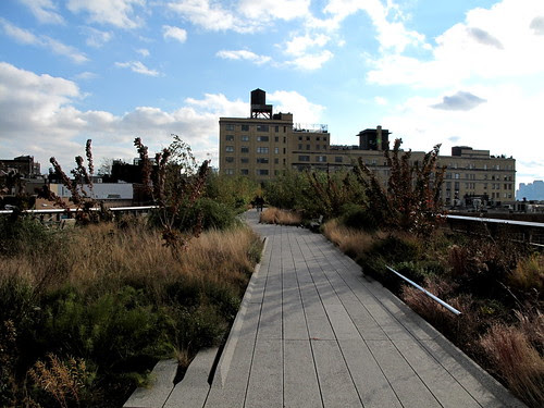 The Standard Hotel & High Line