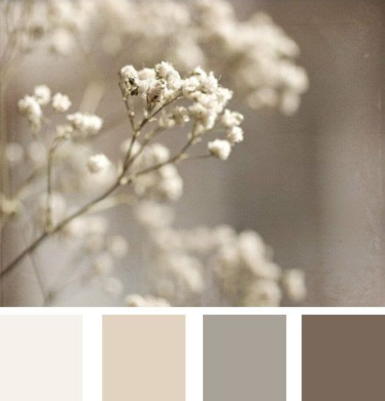 http://www.pinterest.com/pin/161777811588005184/ Soft wheats... Very neutral colour tones
