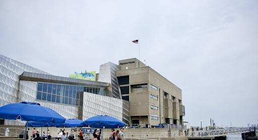 Aquarium «New England Aquarium», reviews and photos, 1 Central Wharf, Boston, MA 02110, USA