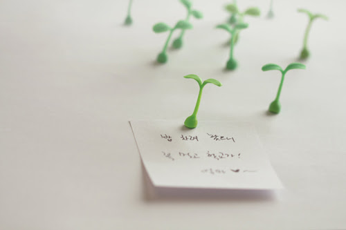 Sprout magnet