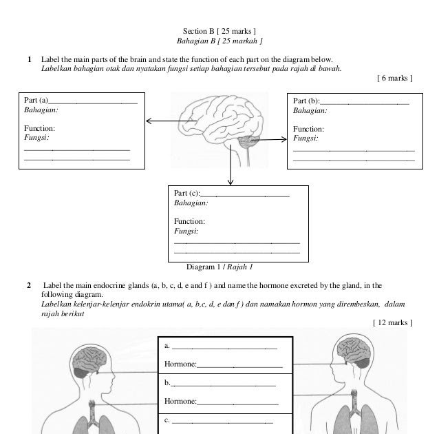 Jawapan Modul Kimia Nilam Publication Tingkatan 5 Kssm - kebayaglamorx