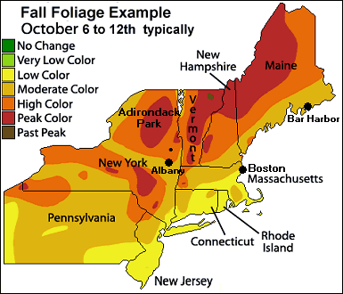 New York Fall Foliage Map
