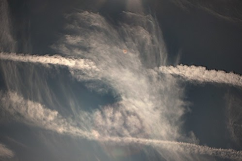 Persistent contrails