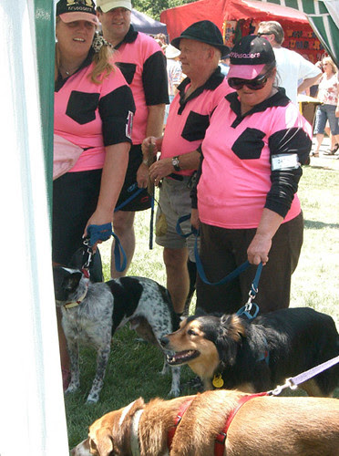 team spirit